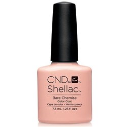 Shellac - Bare Chemise